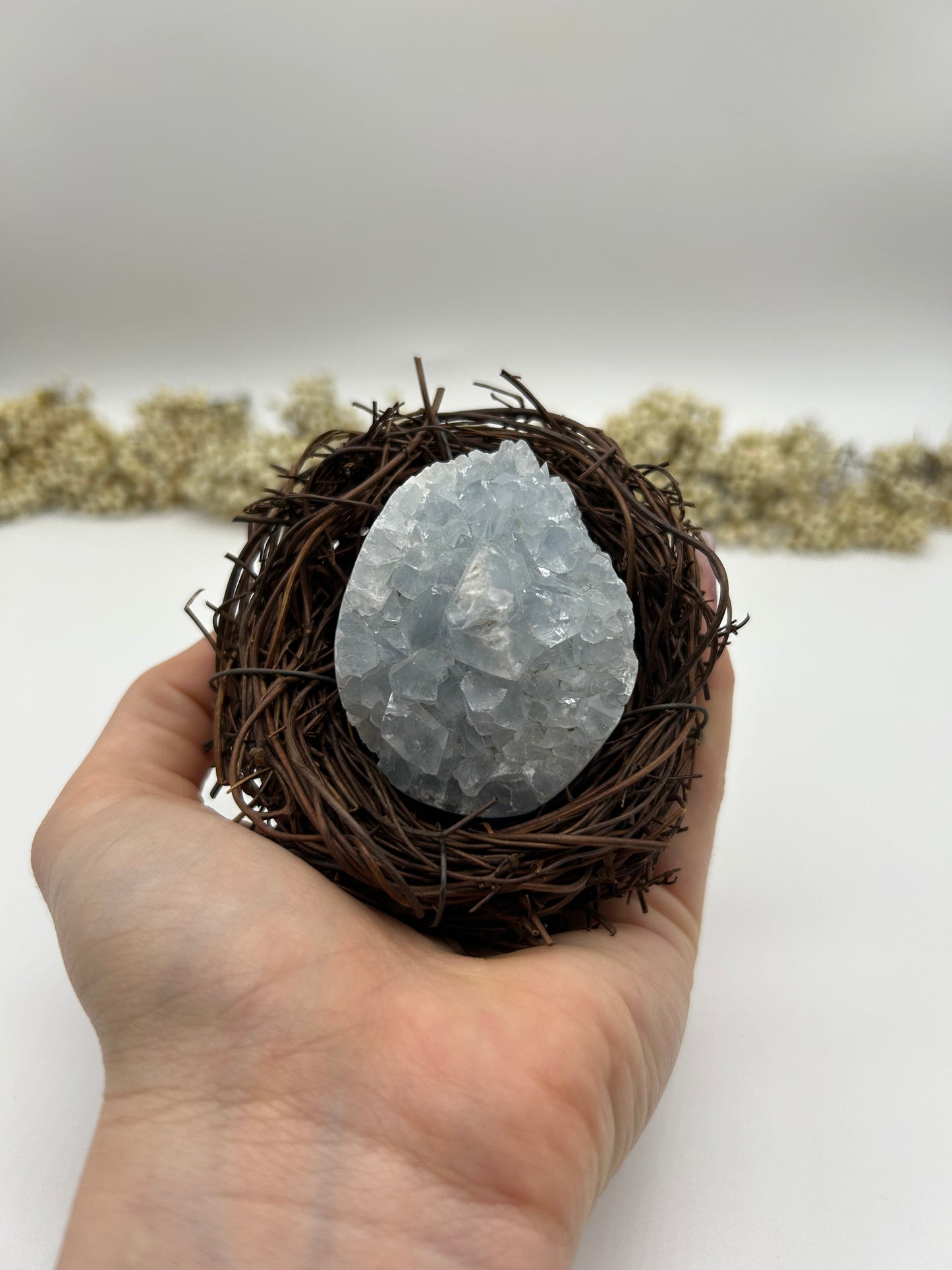 Coelestin Eier im Osternest