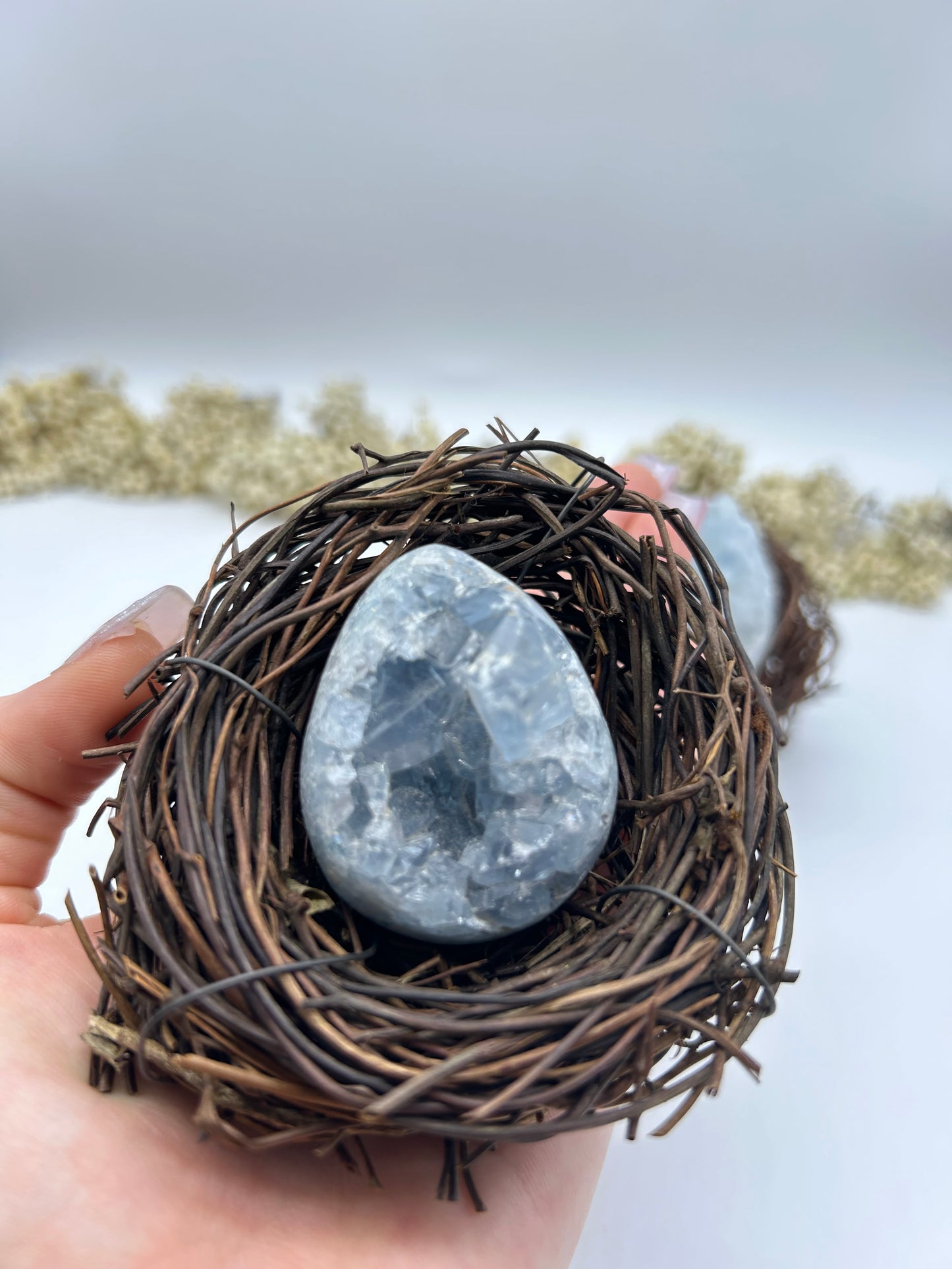 Coelestin Eier im Osternest
