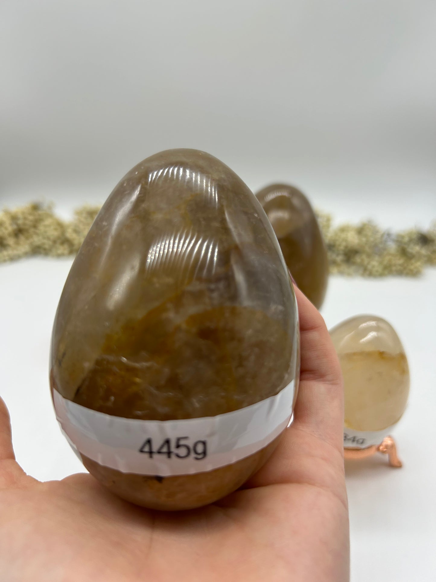 Golden Healer Eier
