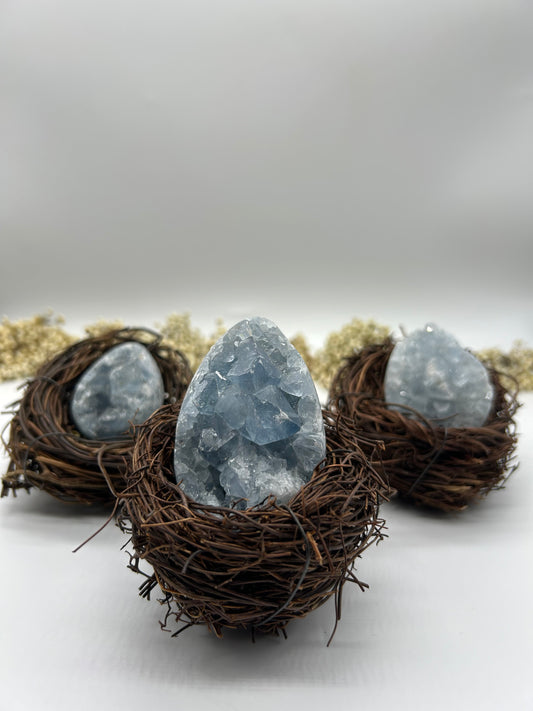 Coelestin Eier im Osternest