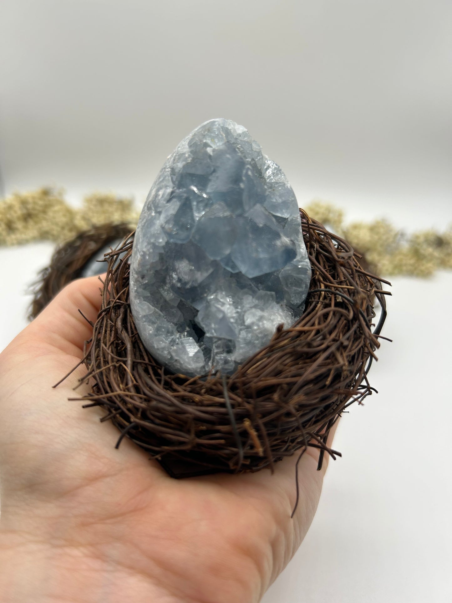 Coelestin Eier im Osternest