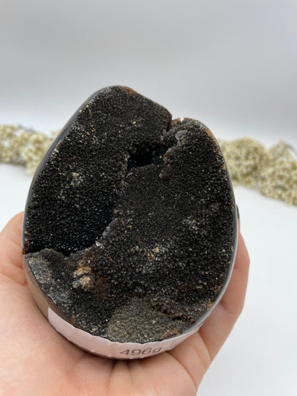 Septarian Eier wild 496g
