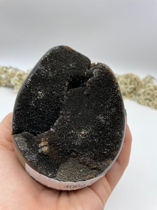 Septarian Eier wild 496g