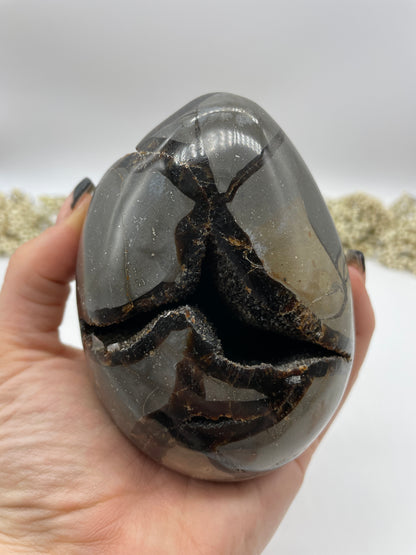 Septarian Eier wild 496g