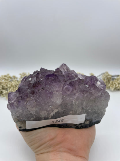 Amethyst Drusen Stücke groß